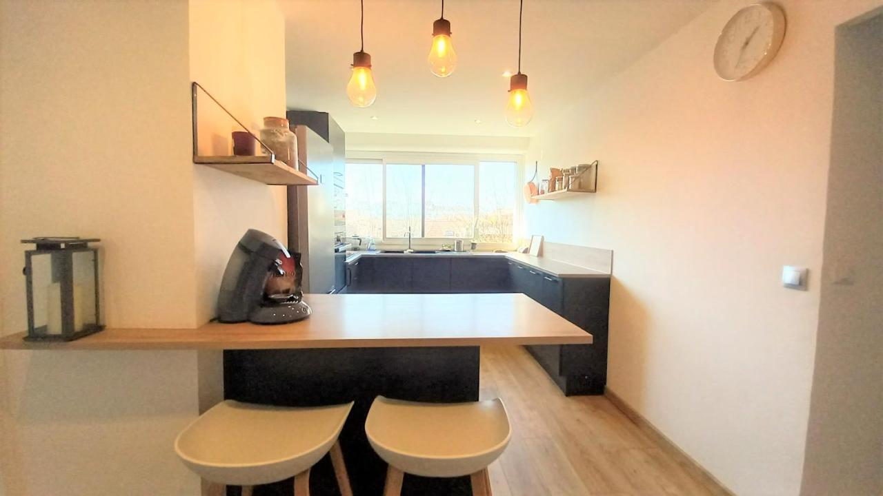 Magnifique Cocon - Metro A Republique - 2 Belles Chambres Avec Dressings - Wifi Gratuit - Netflix - Au Calme Absolu - Lumineux - Jardin Arbore Partage Dans La Residence Villeurbanne Eksteriør bilde
